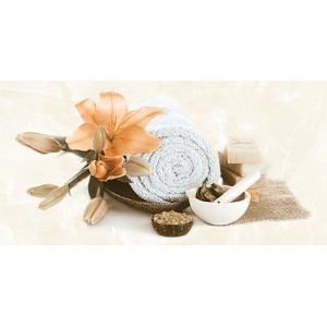 Gạch trang trí 30x60 Prime Evolution 05.300600.08353